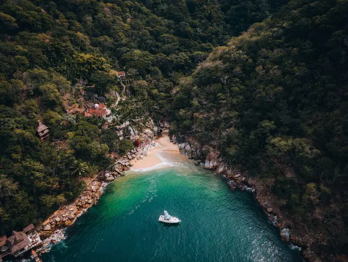 Tropical forest around Colomitos Beach in Boca de Tomatlan, Jalisco, Mexico