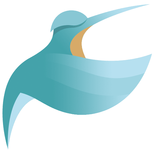 Chas Studios logo featuring a blue and orange hummingbird.