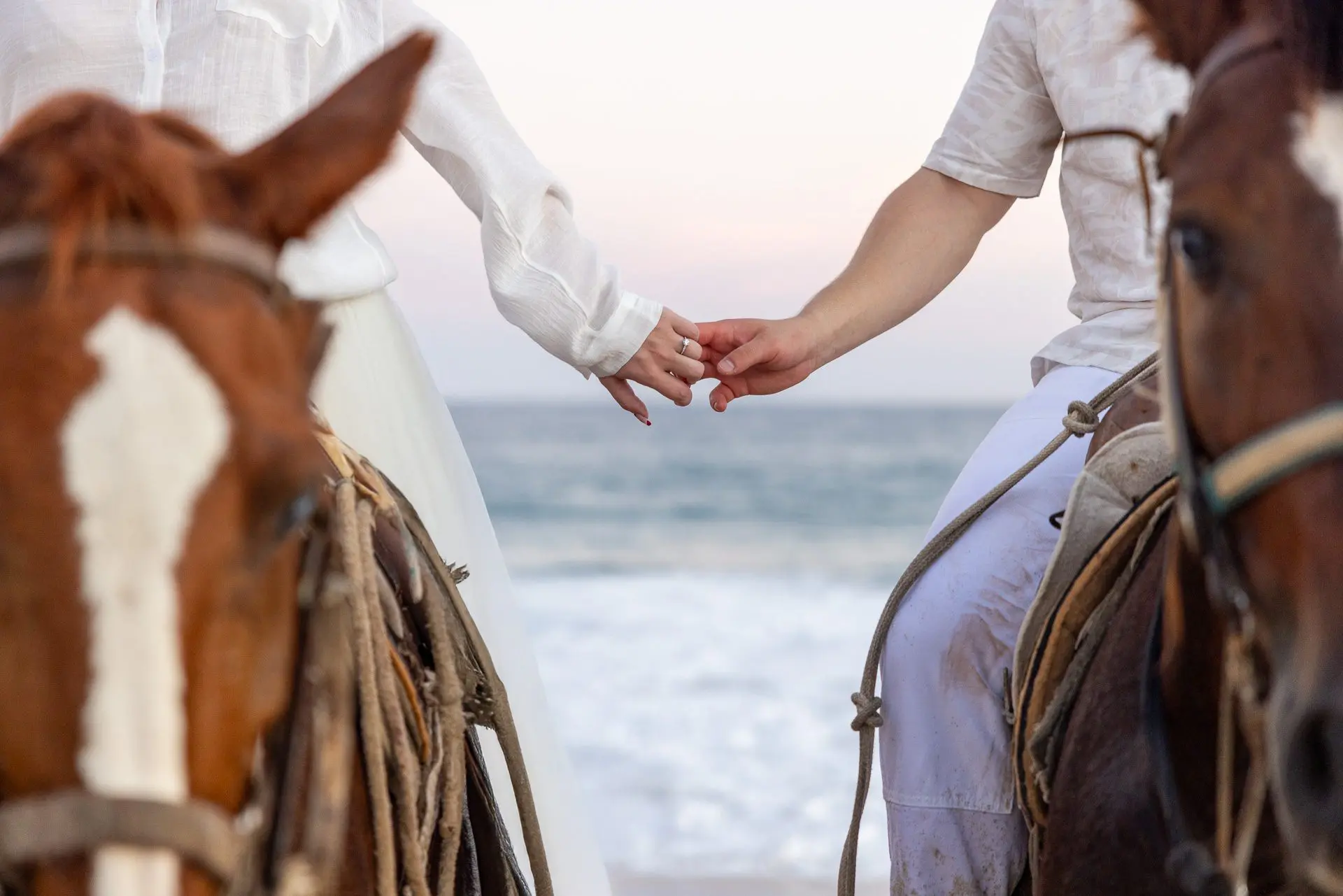 Bride and groom sit atop horses on a beach in Cabo San Lucas, Mexico
